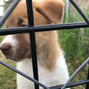 Meet your Posher, Kenzie